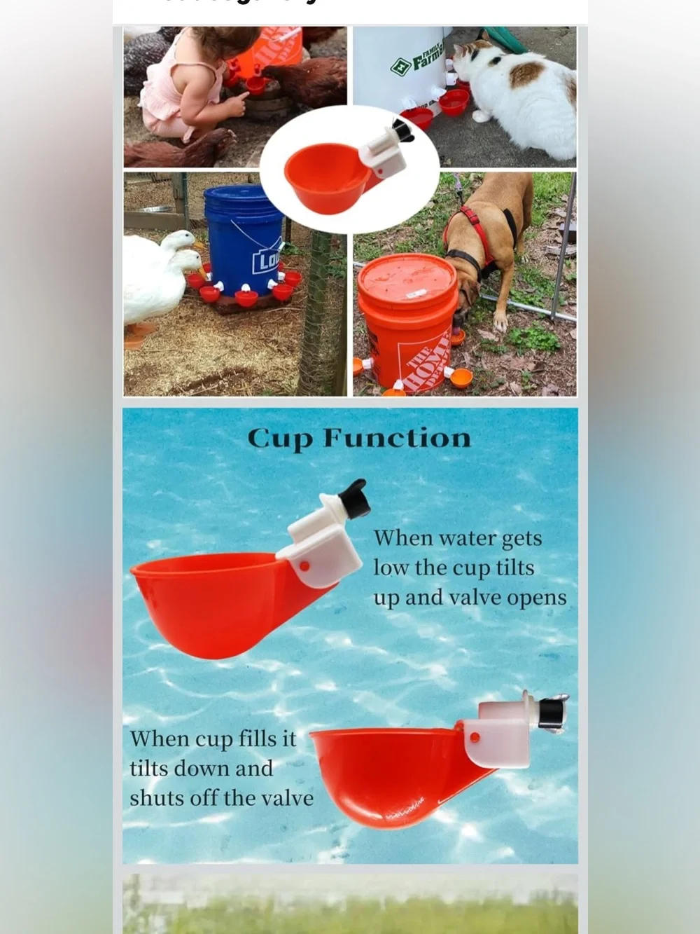 New Open Bag 12pack Chicken Waterer Cups, Poultry Water Feeder with Drill Bit